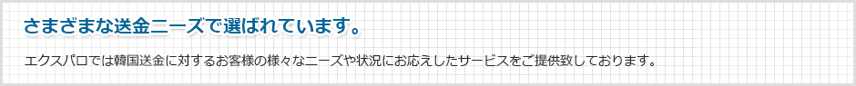 エクスパロでは韓国送金に対するお客様の様々なニーズや状況にお応えしたサービスをご提供致しております。 さまざまな送金ニーズで選ばれています。