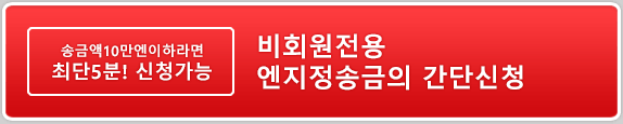 비회원전용 원확정송금